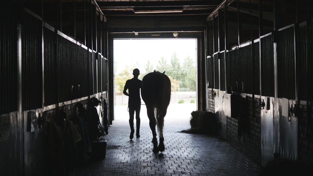 Horses Pawing in the Trailer USRider Equestrian Motor Plan