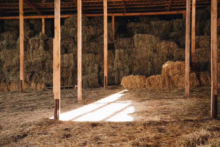 stacked hay in agricultural stall at farmhouse