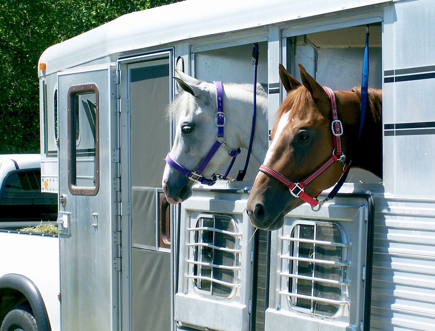 banner-horse-trailer