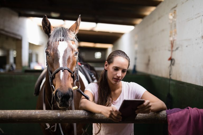 Female jockey using tablet computer while standing against horse