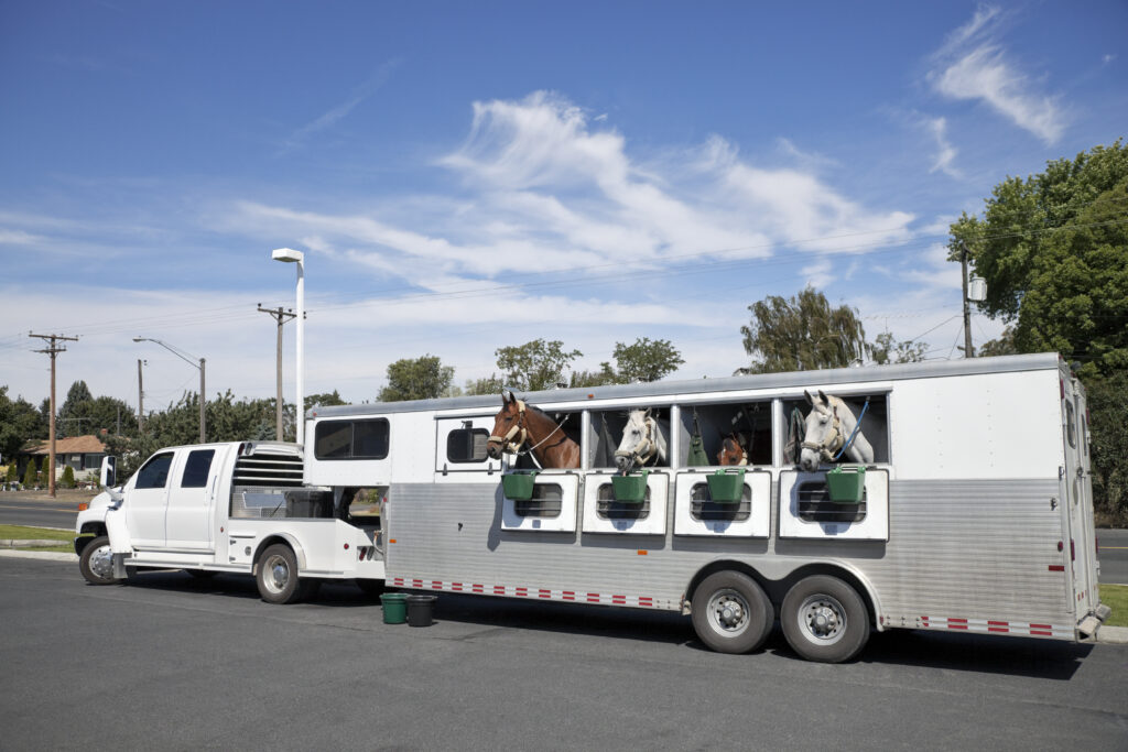 horses loaded on a large horse trailer with usrider equestrian roadside assistance