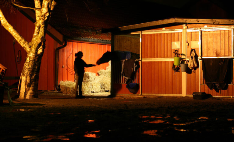 Girl feeding her horse at night