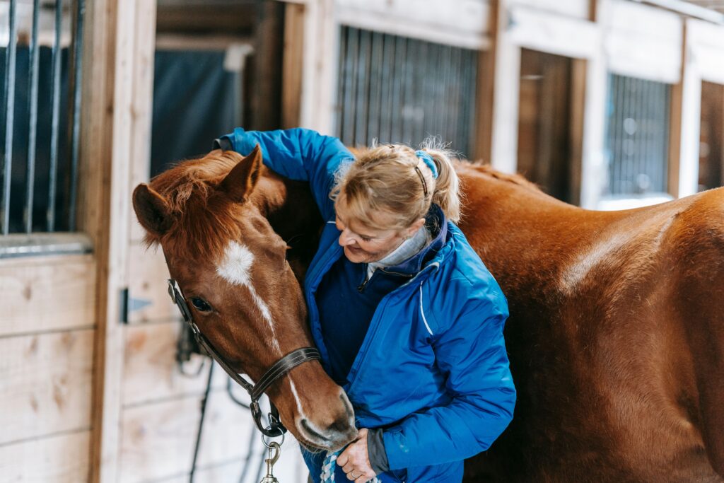 a woman caring for her horse in a horse barn